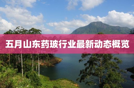 五月山東藥玻行業(yè)最新動態(tài)概覽