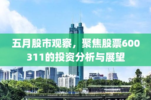 五月股市觀察，聚焦股票600311的投資分析與展望