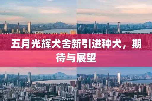 五月光輝犬舍新引進種犬，期待與展望