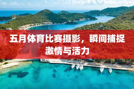 五月體育比賽攝影，瞬間捕捉激情與活力