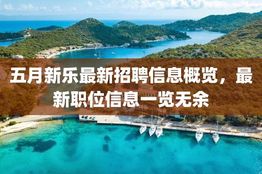 五月新樂(lè)最新招聘信息概覽，最新職位信息一覽無(wú)余