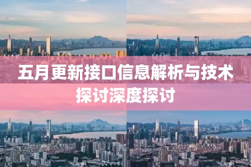 五月更新接口信息解析與技術(shù)探討深度探討