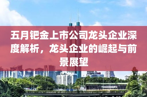 五月鈀金上市公司龍頭企業(yè)深度解析，龍頭企業(yè)的崛起與前景展望