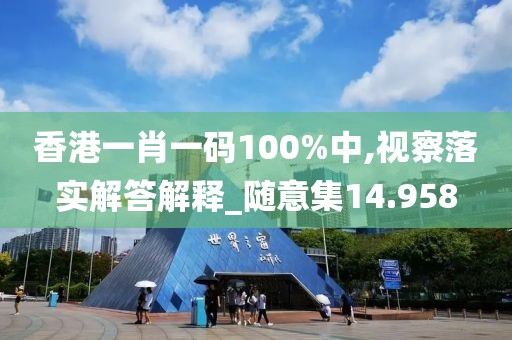 香港一肖一碼100%中,視察落實解答解釋_隨意集14.958