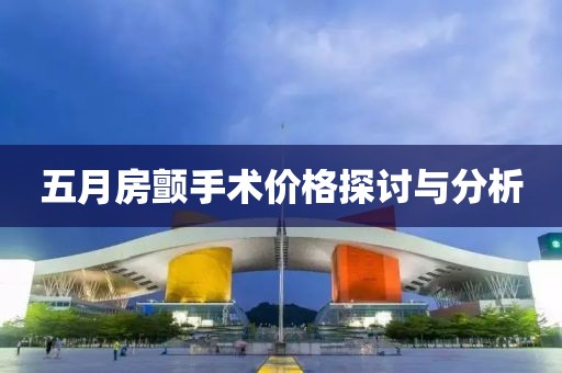 五月房顫手術(shù)價格探討與分析