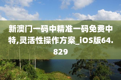 新澳門一碼中精準(zhǔn)一碼免費(fèi)中特,靈活性操作方案_iOS版64.829