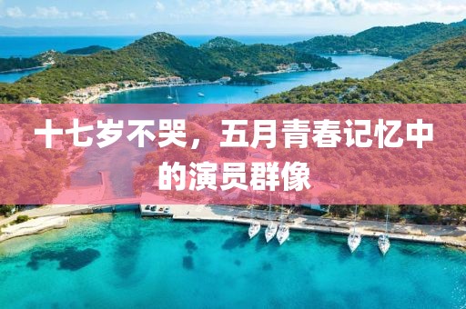 十七歲不哭，五月青春記憶中的演員群像