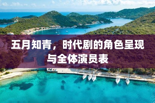 五月知青，時代劇的角色呈現(xiàn)與全體演員表