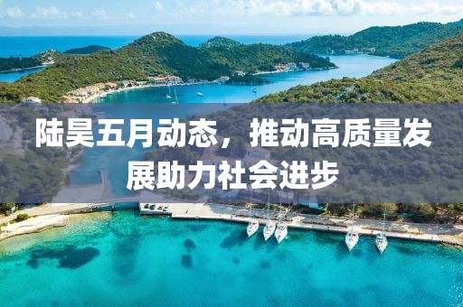 陸昊五月動態(tài)，推動高質(zhì)量發(fā)展助力社會進步