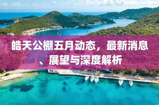 皓天公棚五月動(dòng)態(tài)，最新消息、展望與深度解析