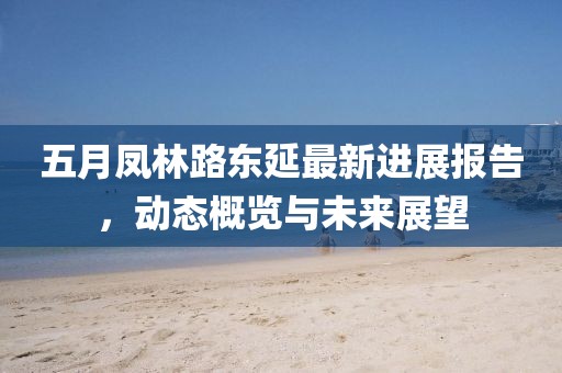 五月鳳林路東延最新進(jìn)展報(bào)告，動態(tài)概覽與未來展望