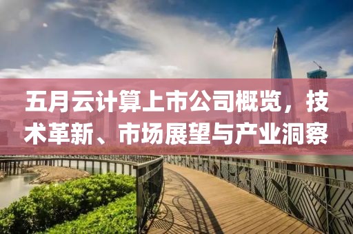 五月云計算上市公司概覽，技術(shù)革新、市場展望與產(chǎn)業(yè)洞察