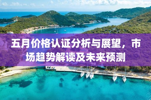 五月價格認證分析與展望，市場趨勢解讀及未來預測