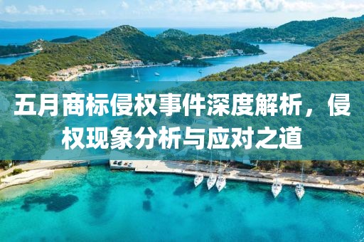 五月商標侵權(quán)事件深度解析，侵權(quán)現(xiàn)象分析與應(yīng)對之道