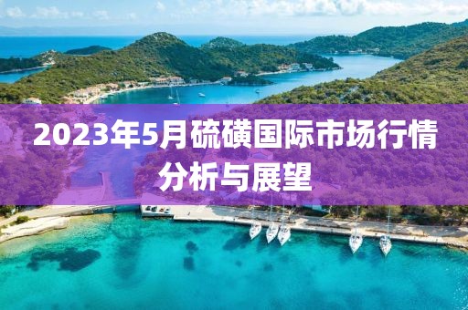 2023年5月硫磺國(guó)際市場(chǎng)行情分析與展望