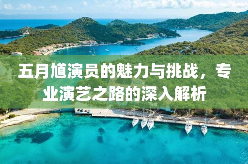 五月馗演員的魅力與挑戰(zhàn)，專業(yè)演藝之路的深入解析