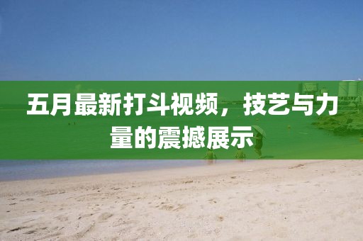 五月最新打斗視頻，技藝與力量的震撼展示