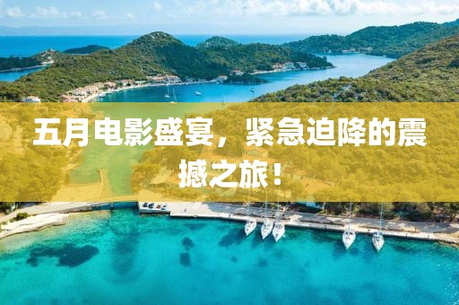 五月電影盛宴，緊急迫降的震撼之旅！