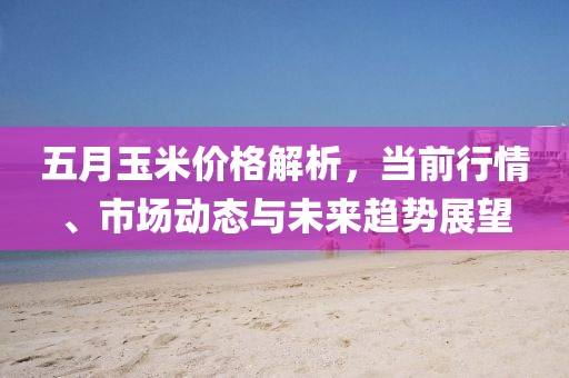 五月玉米價格解析，當(dāng)前行情、市場動態(tài)與未來趨勢展望