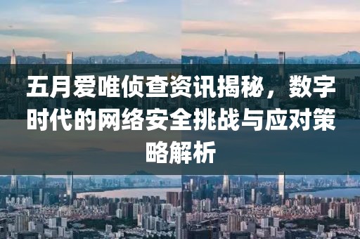 五月愛(ài)唯偵查資訊揭秘，數(shù)字時(shí)代的網(wǎng)絡(luò)安全挑戰(zhàn)與應(yīng)對(duì)策略解析