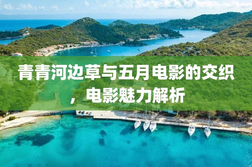 青青河邊草與五月電影的交織，電影魅力解析