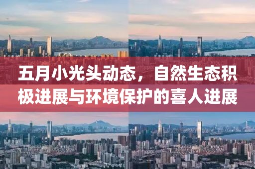 五月小光頭動(dòng)態(tài)，自然生態(tài)積極進(jìn)展與環(huán)境保護(hù)的喜人進(jìn)展