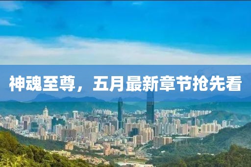 神魂至尊，五月最新章節(jié)搶先看