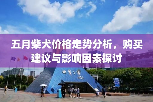 五月柴犬價(jià)格走勢(shì)分析，購買建議與影響因素探討