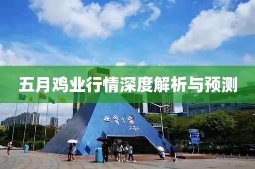五月雞業(yè)行情深度解析與預測