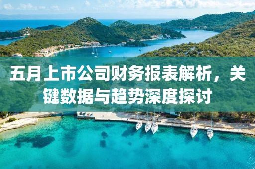 五月上市公司財務報表解析，關鍵數(shù)據(jù)與趨勢深度探討