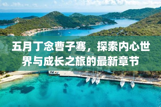 五月丁念曹子騫，探索內(nèi)心世界與成長之旅的最新章節(jié)