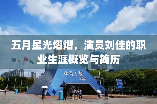 五月星光熠熠，演員劉佳的職業(yè)生涯概覽與簡(jiǎn)歷