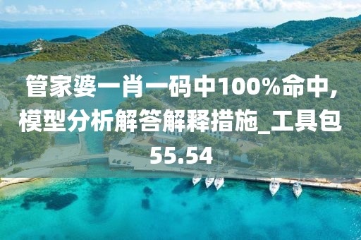 管家婆一肖一碼中100%命中,模型分析解答解釋措施_工具包55.54