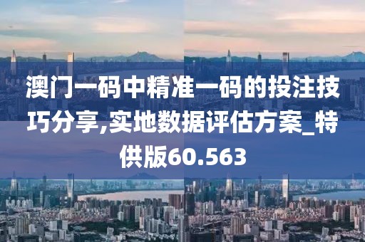 澳門一碼中精準(zhǔn)一碼的投注技巧分享,實地數(shù)據(jù)評估方案_特供版60.563