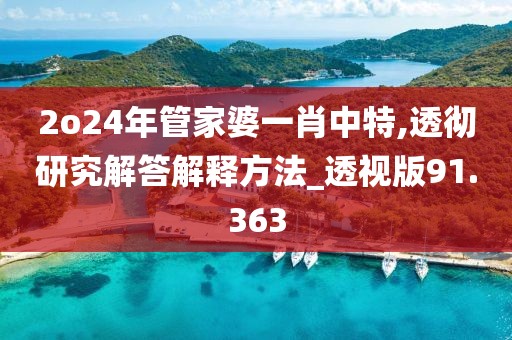 2o24年管家婆一肖中特,透徹研究解答解釋方法_透視版91.363