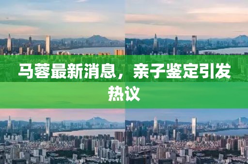 馬蓉最新消息，親子鑒定引發(fā)熱議