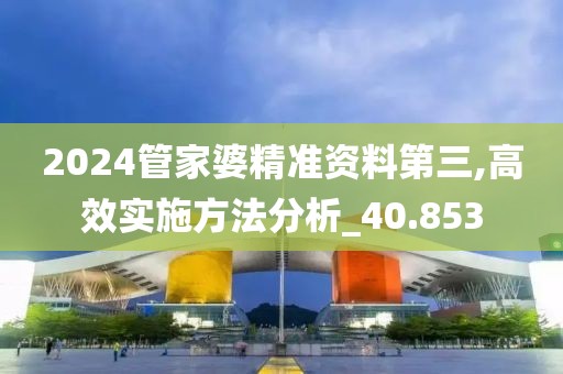 2024管家婆精準資料第三,高效實施方法分析_40.853