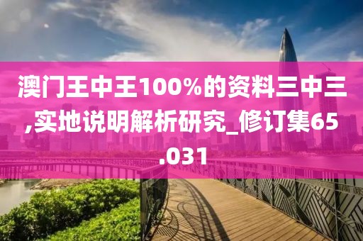 澳門王中王100%的資料三中三,實地說明解析研究_修訂集65.031