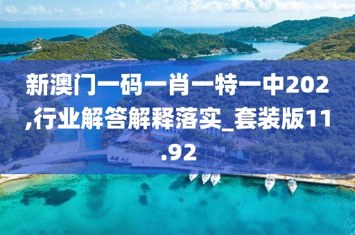新澳門一碼一肖一特一中202,行業(yè)解答解釋落實_套裝版11.92