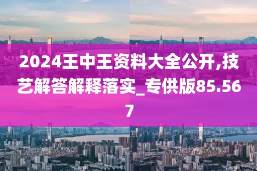 2024王中王資料大全公開,技藝解答解釋落實(shí)_專供版85.567