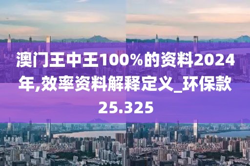 澳門王中王100%的資料2024年,效率資料解釋定義_環(huán)?？?5.325