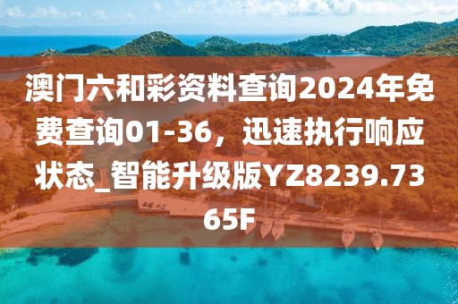一碼一肖一特早出晚,精準落實分析方案_紀念型41.988
