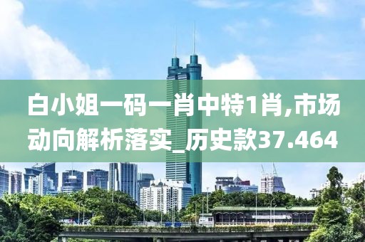 白小姐一碼一肖中特1肖,市場動向解析落實_歷史款37.464