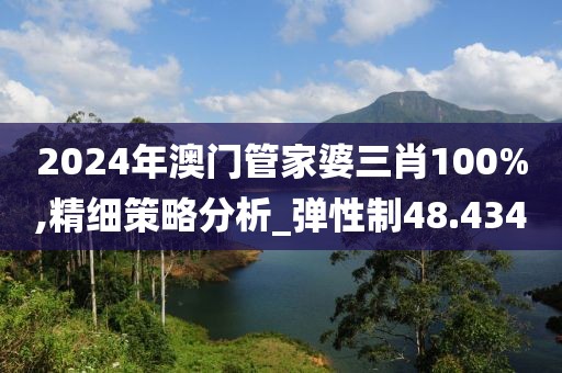 2024年澳門管家婆三肖100%,精細(xì)策略分析_彈性制48.434