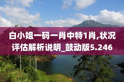 白小姐一碼一肖中特1肖,狀況評估解析說明_鼓動版5.246