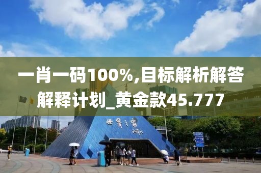 一肖一碼100%,目標(biāo)解析解答解釋計劃_黃金款45.777