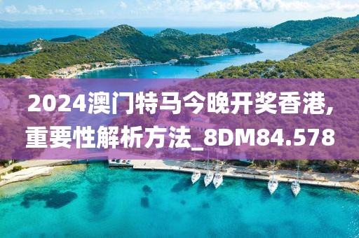 2024澳門(mén)特馬今晚開(kāi)獎(jiǎng)香港,重要性解析方法_8DM84.578