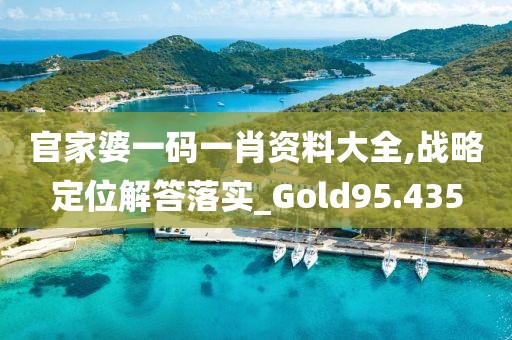 官家婆一碼一肖資料大全,戰(zhàn)略定位解答落實_Gold95.435