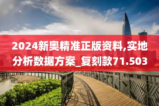 2024新奧精準(zhǔn)正版資料,實(shí)地分析數(shù)據(jù)方案_復(fù)刻款71.503