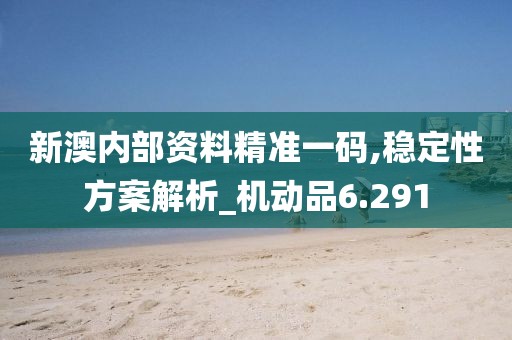新澳內(nèi)部資料精準一碼,穩(wěn)定性方案解析_機動品6.291